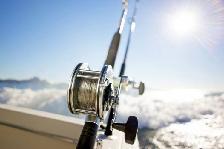fishing reel with view of ocean