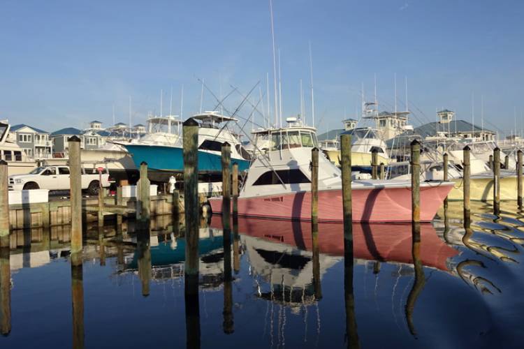 The ocean city marina