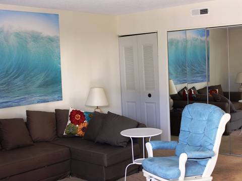104 Angelfish