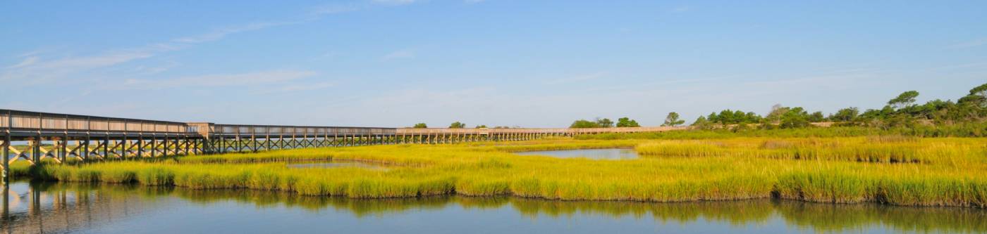 The Assateague Seashore marshwalk