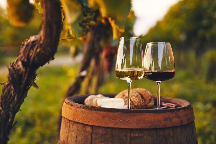 2 wine glasses displayed outdoors at a vineyard